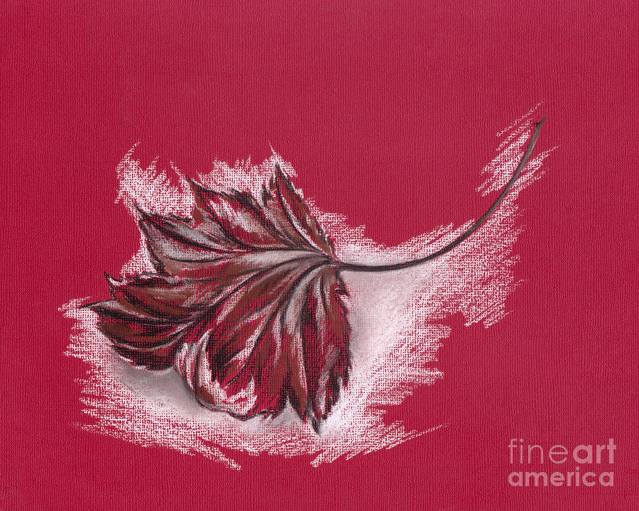Frosted Autumn Maple Leaf on Red Paper Drawing by MM Anderson