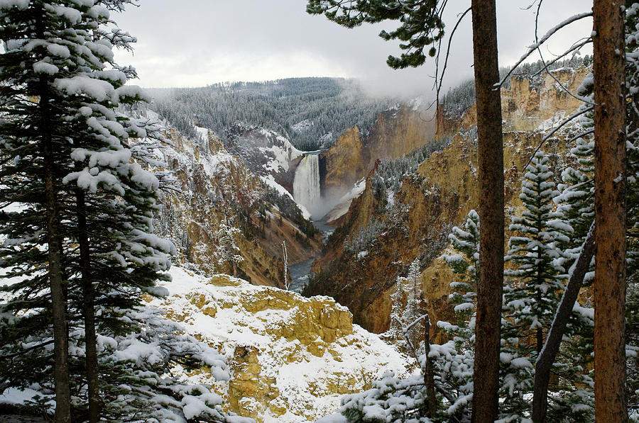 Frosted Canyon Photograph
