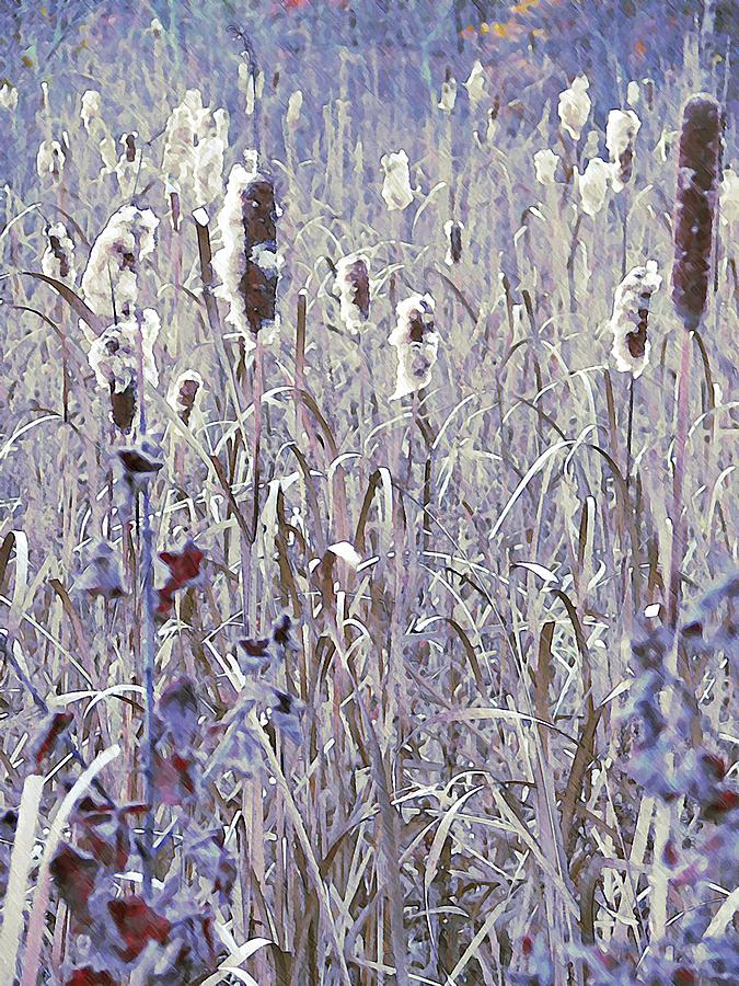 Frosted Cattails In The Morning Light Photograph by Joy Nichols