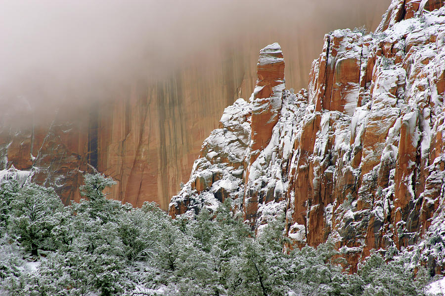 Frosted Cliffs in Zion Photograph by Daniel Woodrum