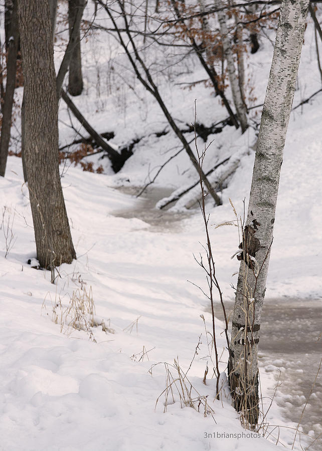 Frosted Inlet Photograph by Brian Eklund - Pixels