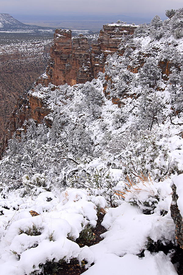Frosted Layer Cake 1 -- Grand Canyon Photograph by Larry Ricker