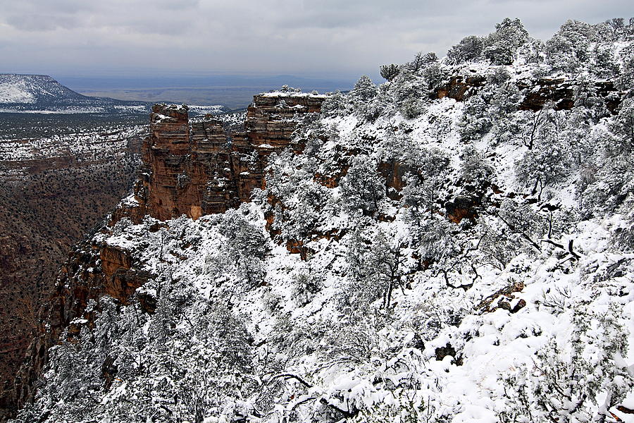Frosted Layer Cake 2 -- Grand Canyon Photograph by Larry Ricker