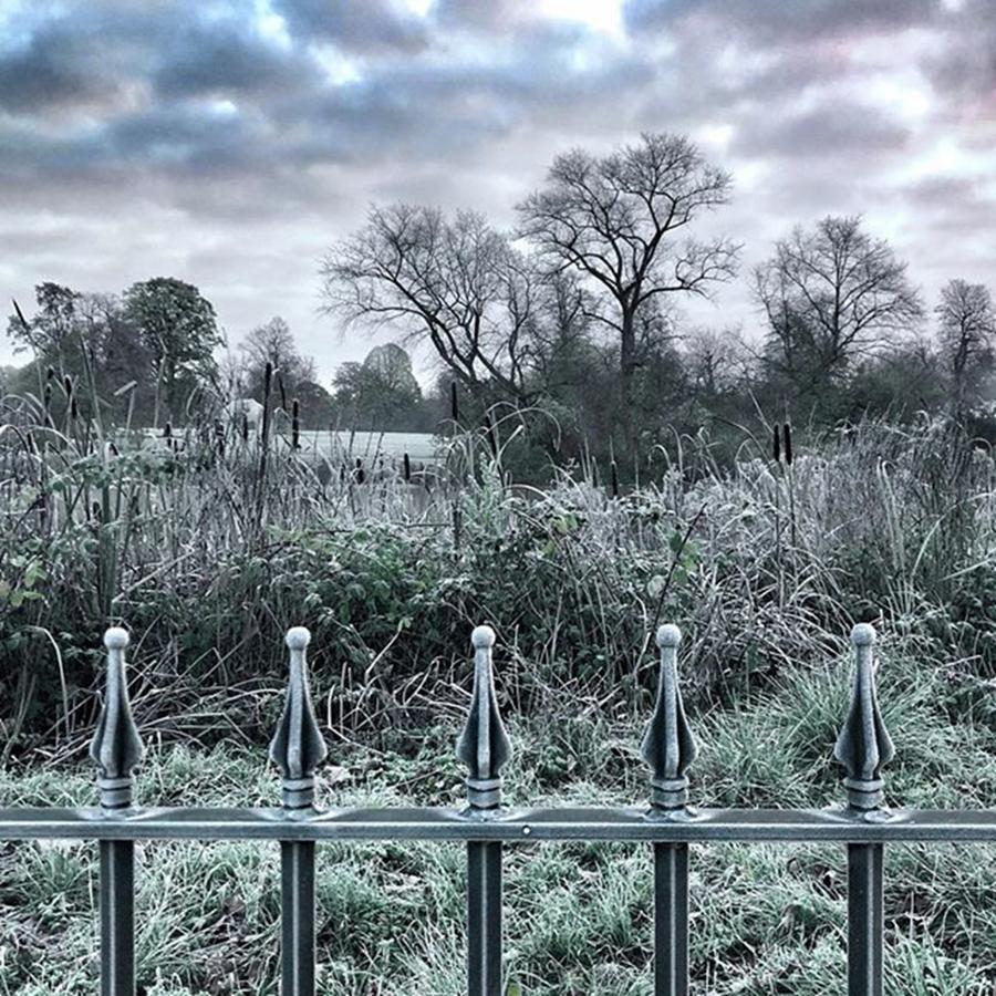 Nature Photograph - Frosted Railings In #kensingtongardens by Steve Dunlop