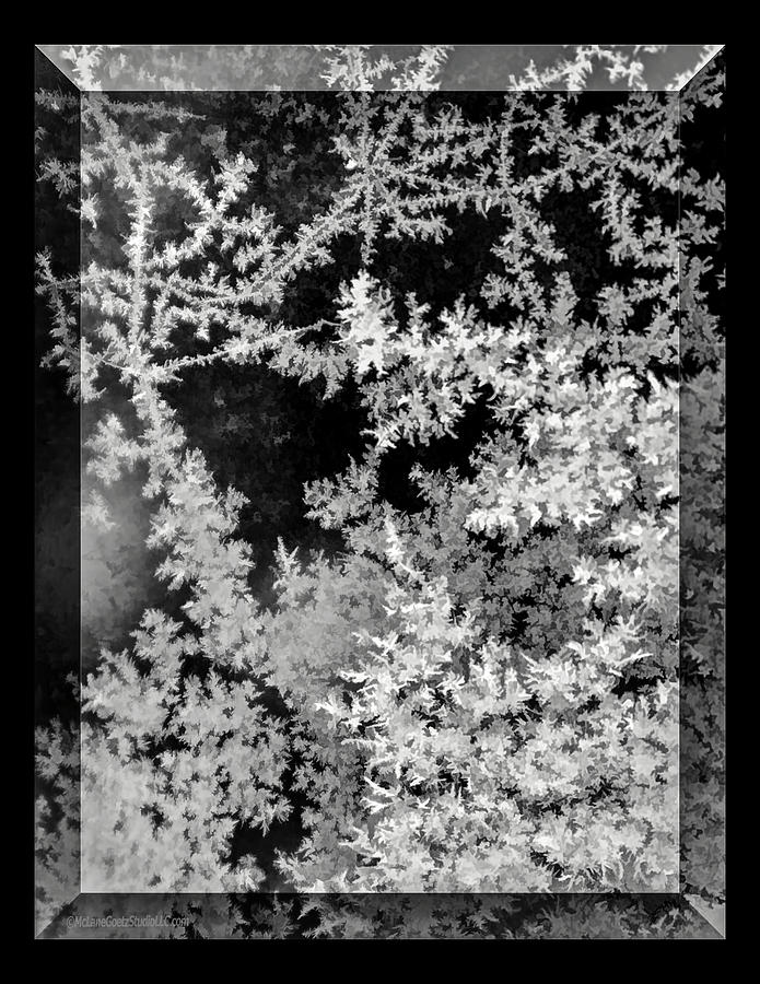 Frosted Window Pane Photograph by LeeAnn McLaneGoetz McLaneGoetzStudioLLCcom