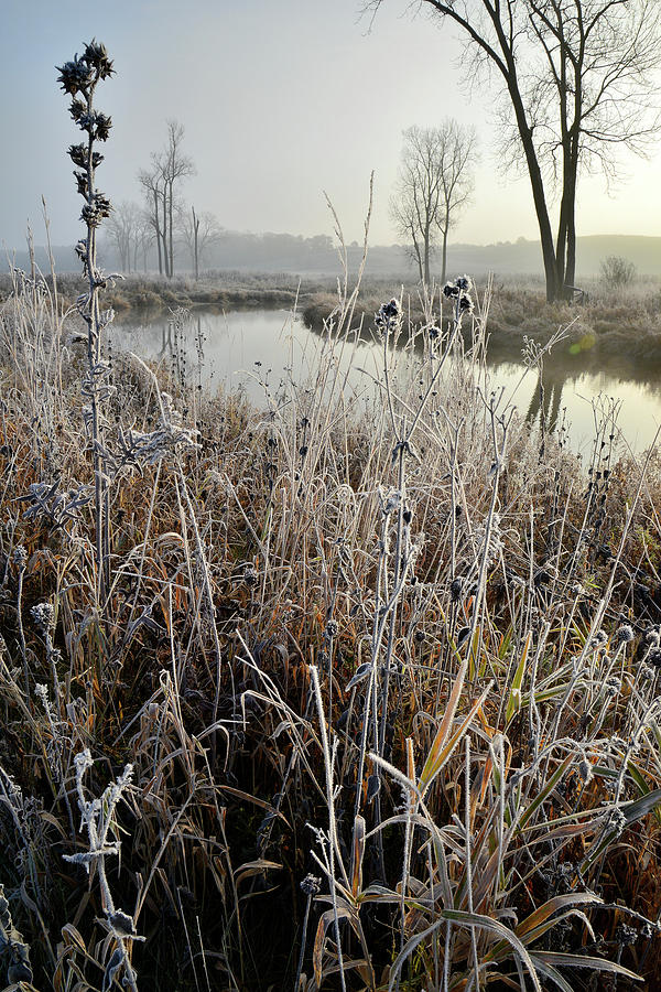 Frosty Big Bend in Nippersink Creek Photograph by Ray Mathis