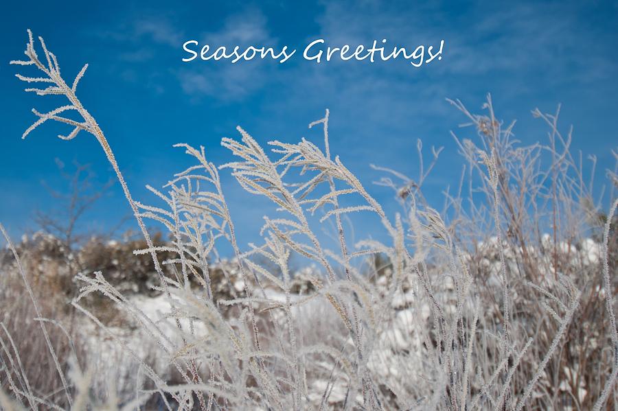 Frosty Christmas Greeting Photograph by Cascade Colors