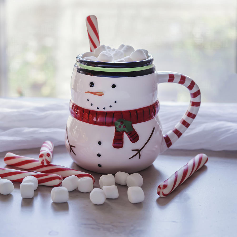 Frosty Christmas Mug Photograph by Kim Hojnacki