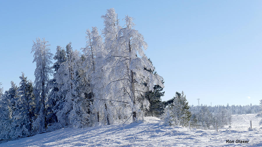 Frosty Fog 12 Photograph by Ron Glaser - Fine Art America