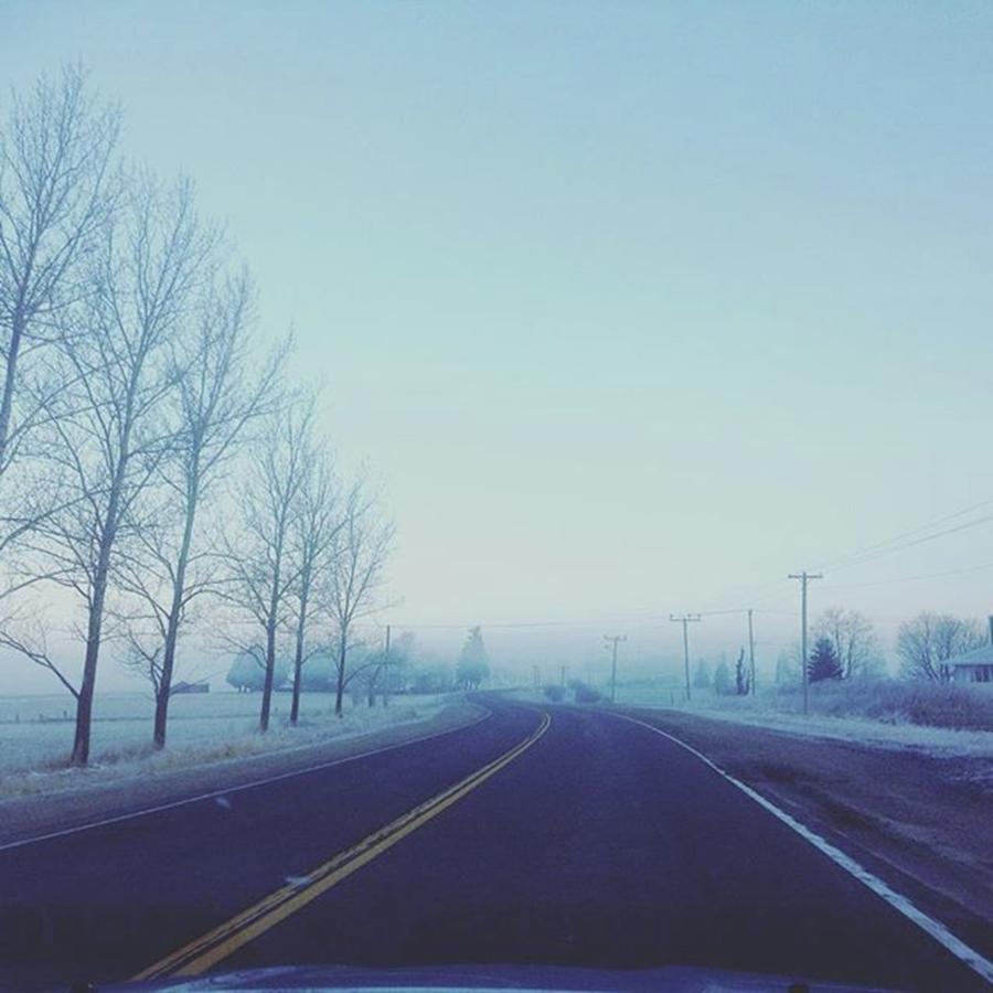 Frosty Foggy Morning Photograph by Ishane Perera