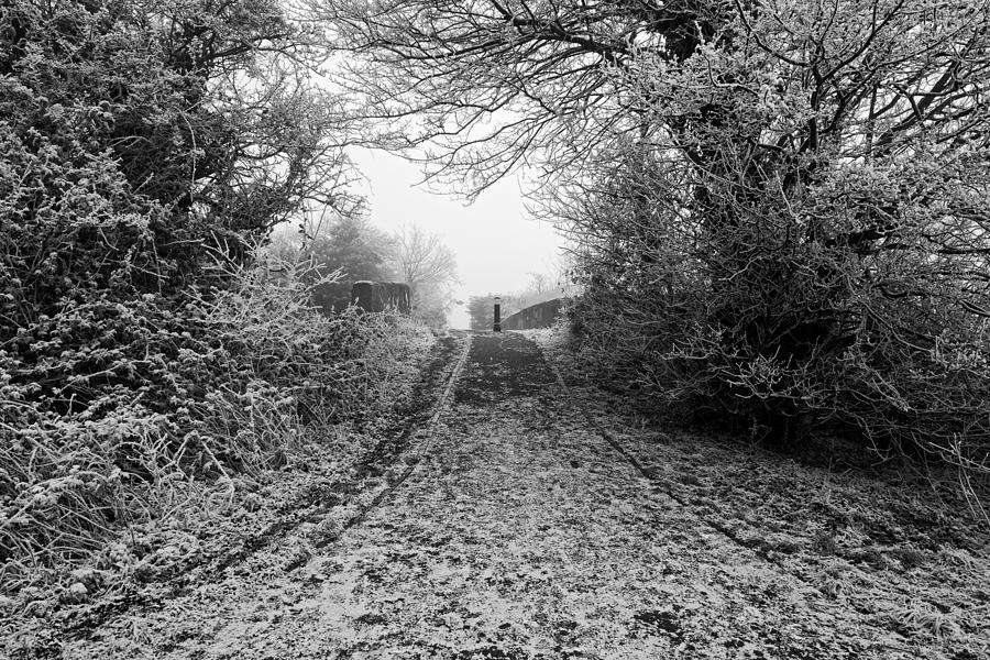 Frosty Footpath Photograph by Roy Pedersen