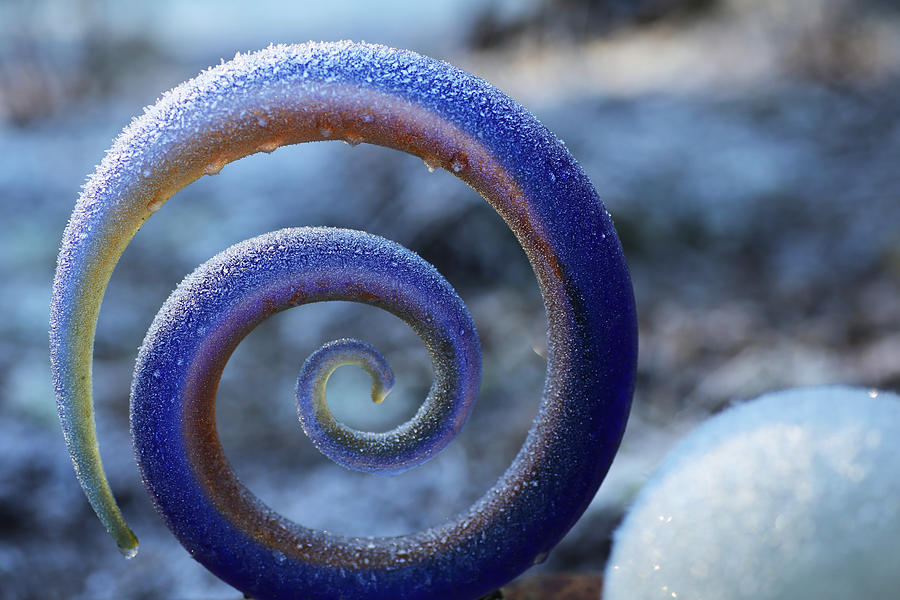 Frosty Glass Swirl Photograph by Tammy Pool