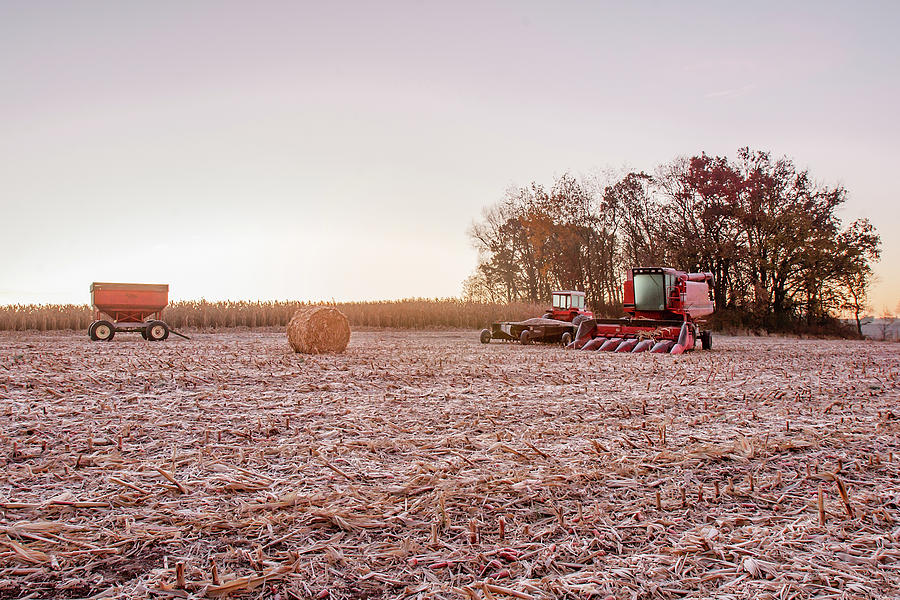 Frosty Harvest Photograph by Todd Klassy