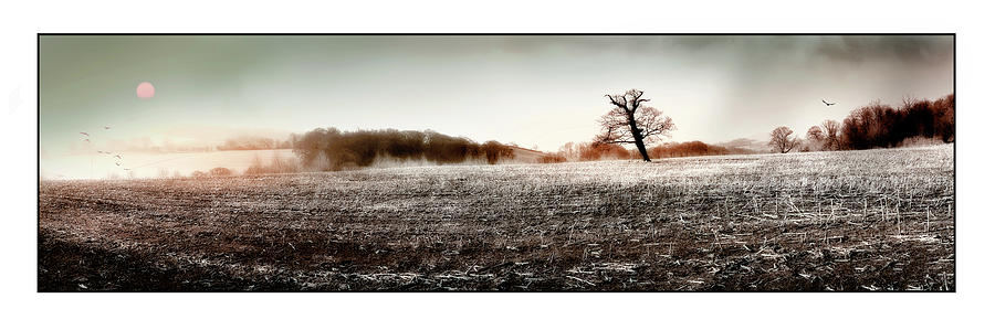 Frosty Landscape Photograph by Mal Bray