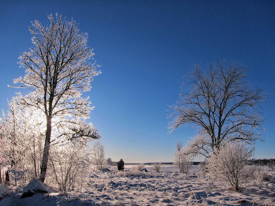Frosty Landscape Photograph