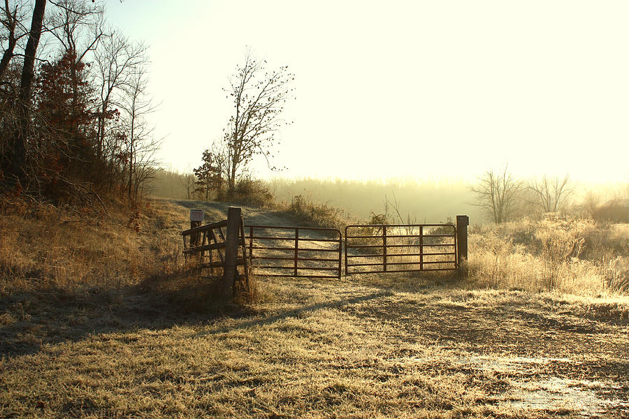 Frosty Morning Photograph by Angela Comperry