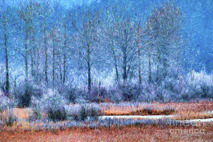 Frosty Morning at the Marsh Photo Art Digital Art by Sharon Talson