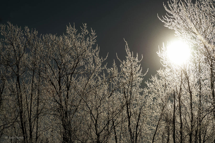 Frosty Morning Photograph by Jody Partin