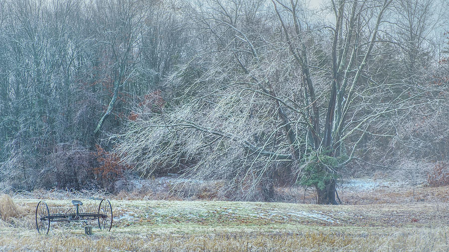 Frosty Morning Photograph by Joseph Smith