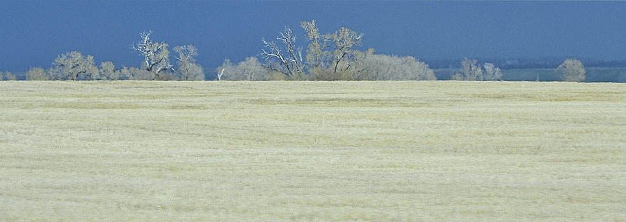 Frosty Morning Landscape Photograph by Nadalyn Larsen