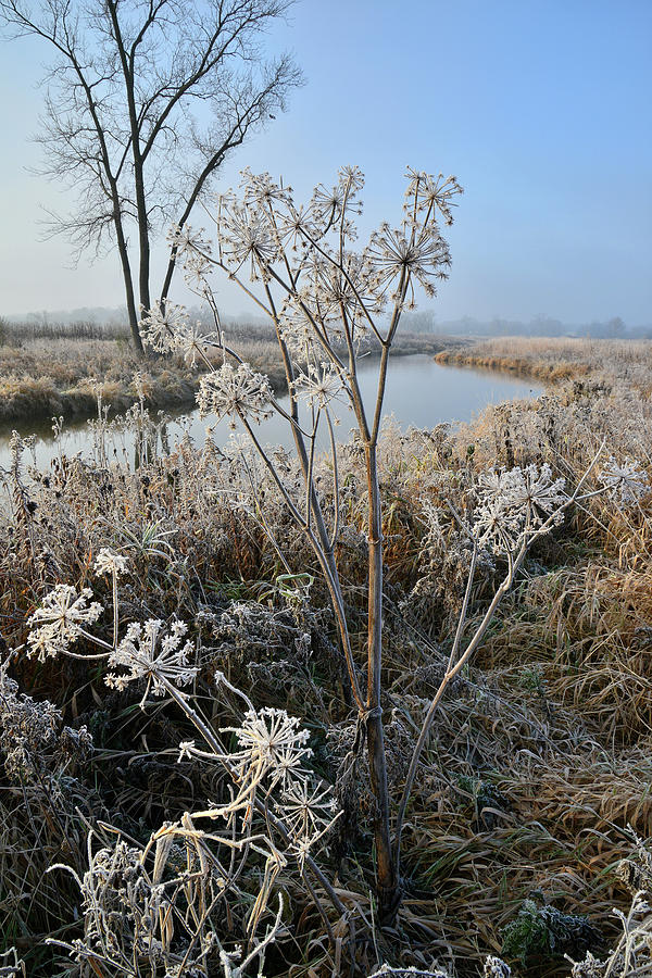 Frosty Morning on Nippersink Creek in Glacial Park in McHenry County Photograph by Ray Mathis