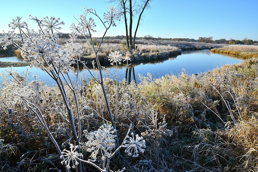 Frosty Morning on Nippersink Creek in Glacial Park Photograph by Ray Mathis