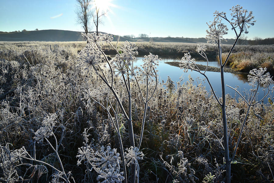 Frosty Morning on Nippersink Creek Photograph by Ray Mathis