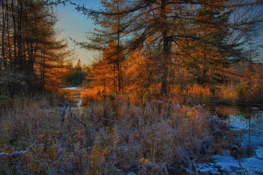 Frosty Morning Sunrise Along Bearden Brook Photograph by Irwin Barrett