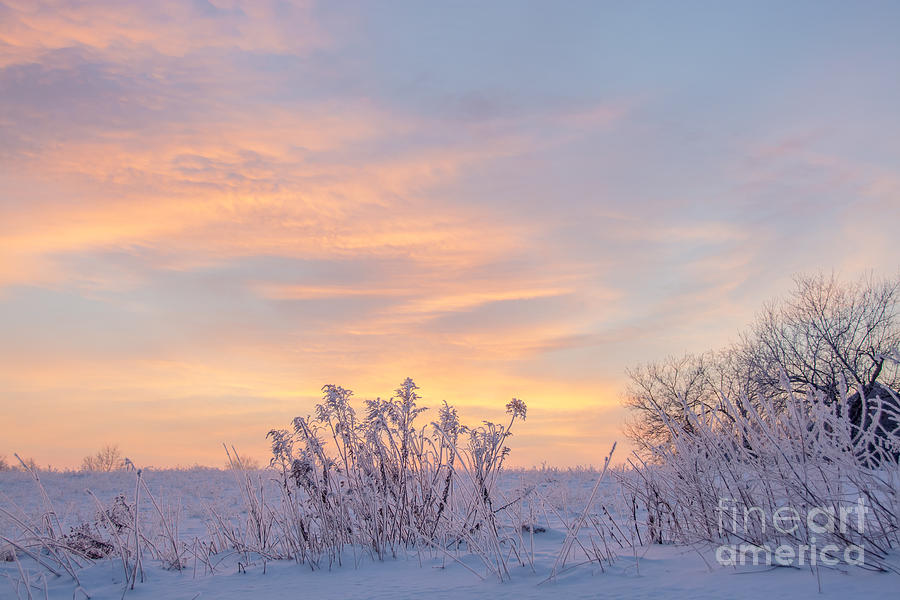 Frosty Morning Sunrise Photograph by Cheryl Baxter