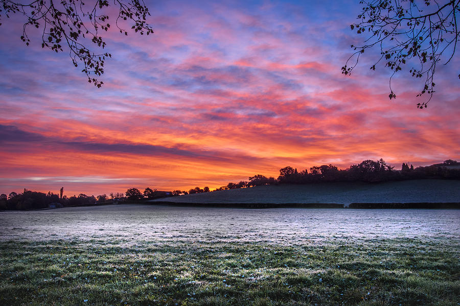 Frosty Morning Sunrise Photograph by Chris Smith