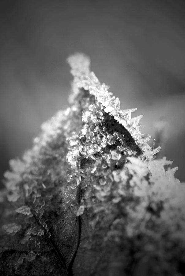 Frosty Peak B n W Photograph by Richard Andrews