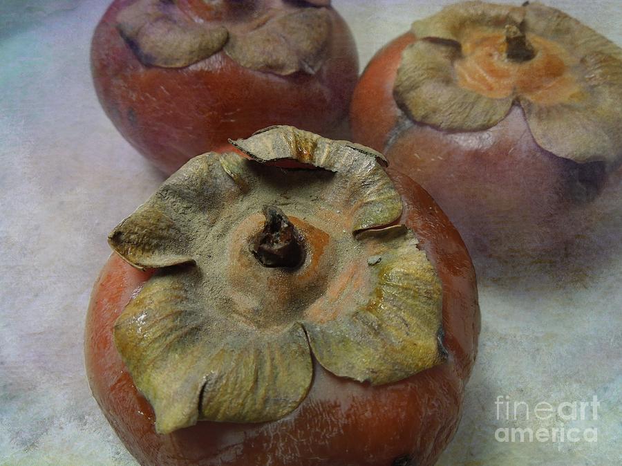 Frosty Persimmons Photograph by Renee Trenholm