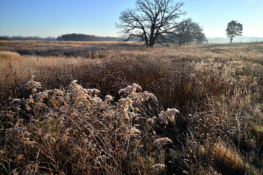 Frosty Prairie at Prairieview Photograph by Ray Mathis