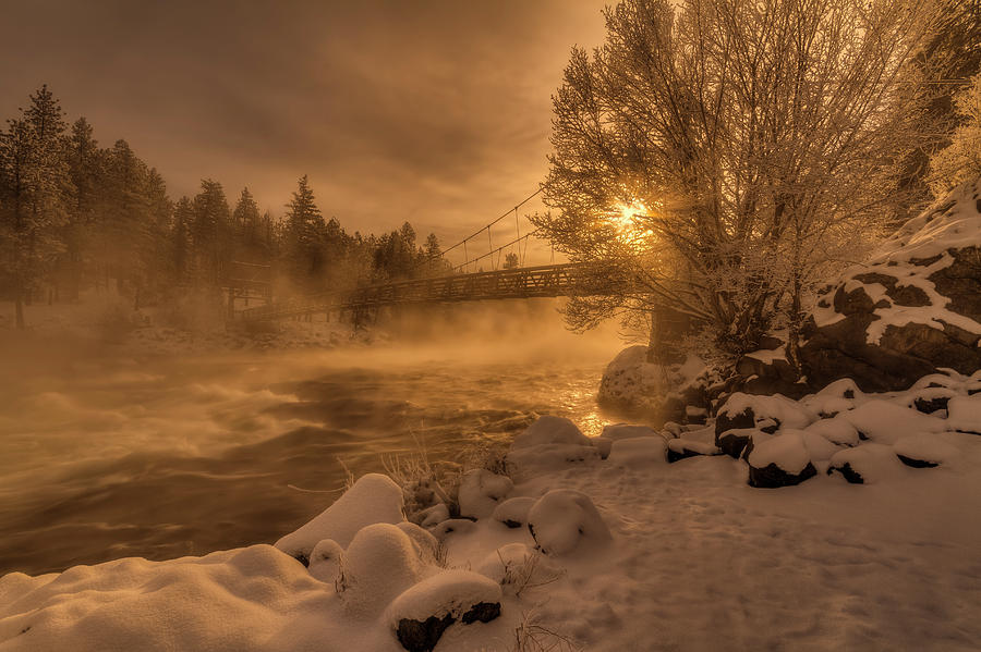 Winter Photograph - Frosty Riverside by Mark Kiver