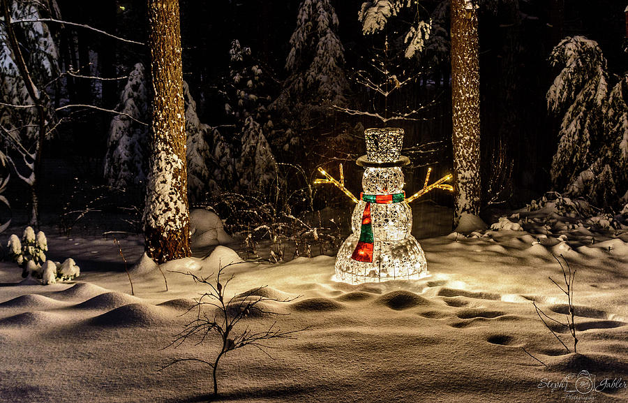 Frosty Photograph by Steph Gabler