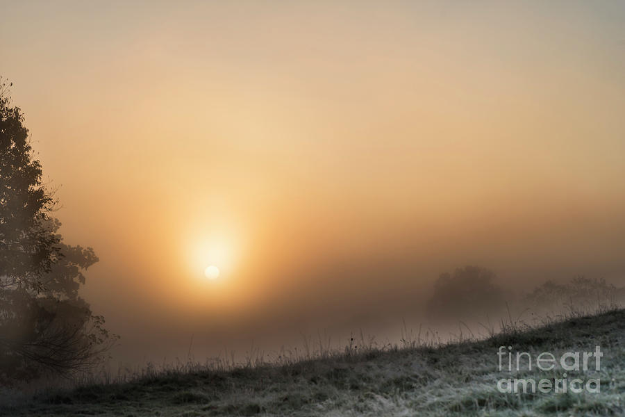 Frosty Sunrise and Fog Photograph by Thomas R Fletcher