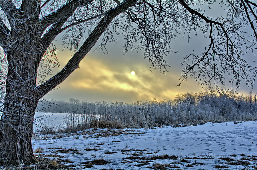 Frosty Sunrise Photograph by Bonfire Photography