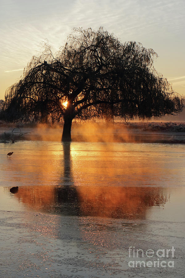 Frosty sunrise reflection Photograph by Julia Gavin