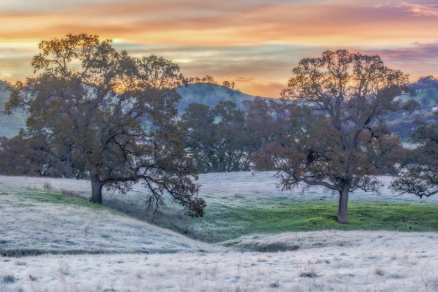 Frosty Sunrise Photograph by Marc Crumpler