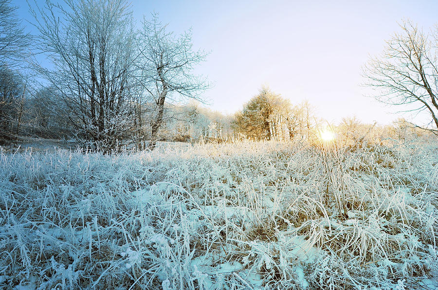 Frosty sunrise Photograph by Supertramp One | Fine Art America