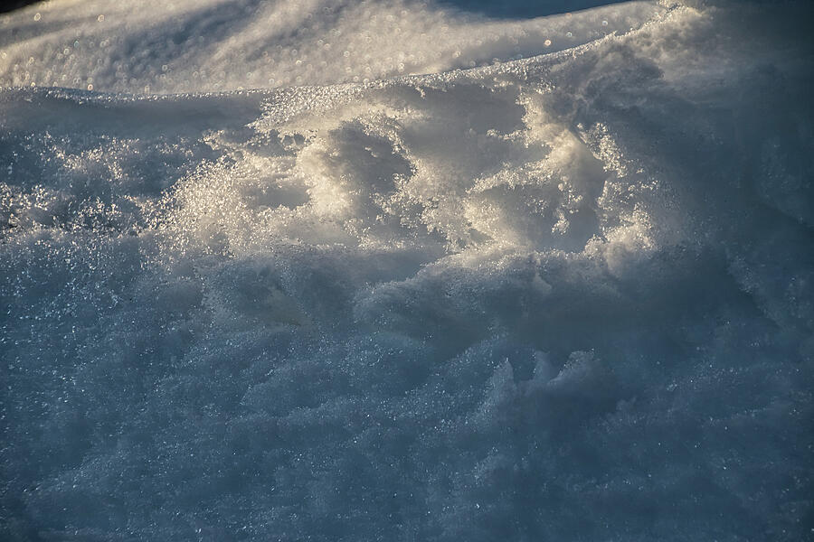 Frosty Texture -  Photograph by Julie Weber