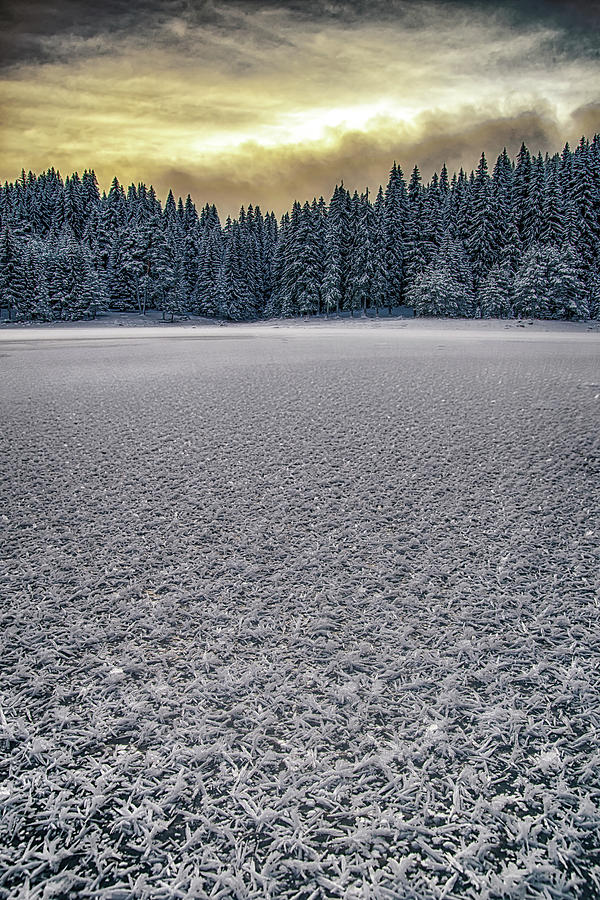 Frozen 21.12.2017 Photograph by Plamen Petkov