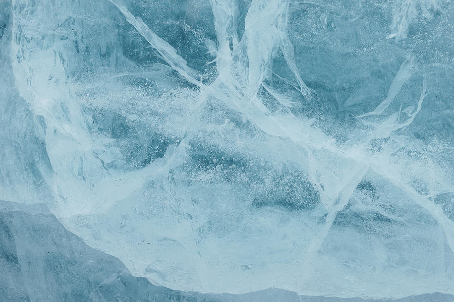 Frozen by Aldona Pivoriene Frozen by Aldona Pivoriene