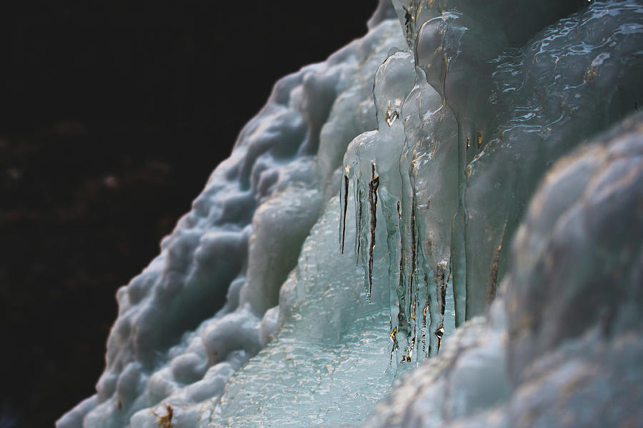 Frozen Photograph by Amber Flowers