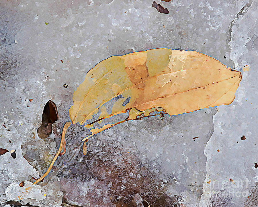 Frozen And Broken Remnants Of Fall Photograph by Kathy M Krause