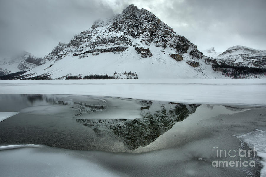 Frozen And Foggy At Bow Lake Photograph by Adam Jewell