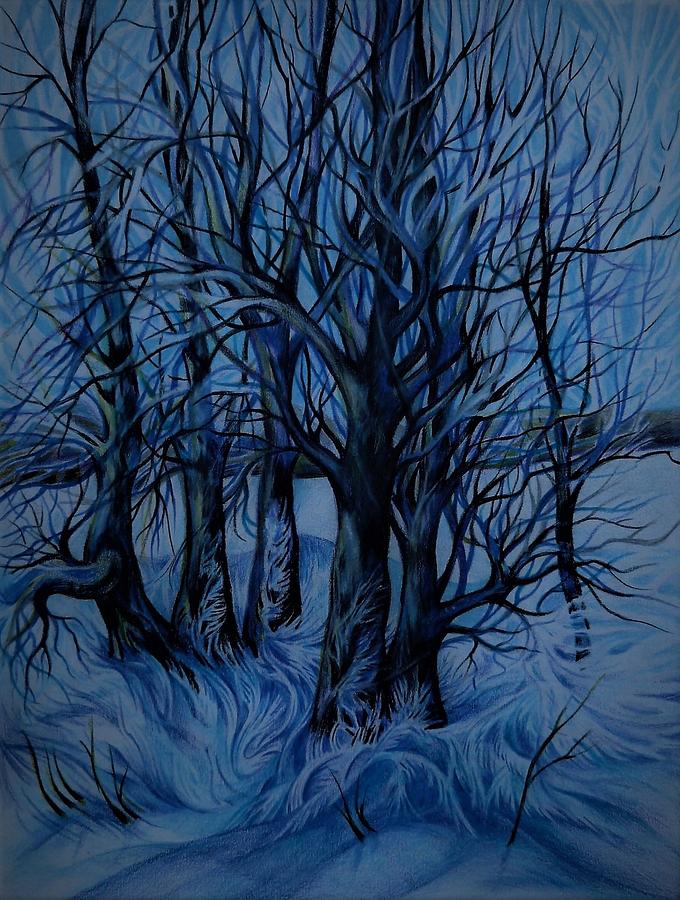 Frozen Aspens Drawing by Anna Duyunova