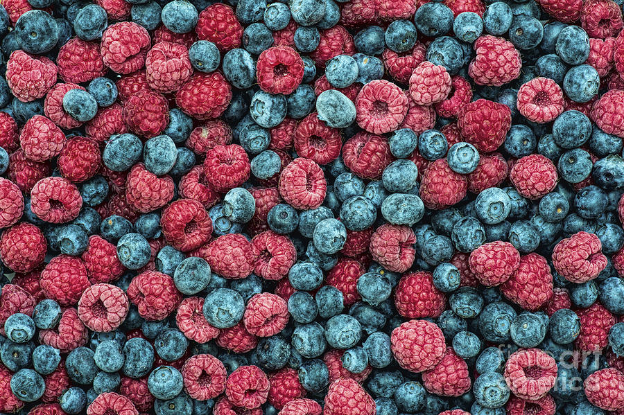 Pattern Photograph - Frozen Berries by Tim Gainey