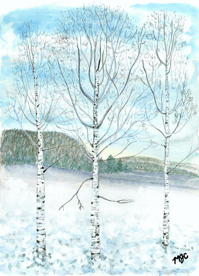 Frozen Birch Trees by Meghan Coyle Frozen Birch Trees by Meghan Coyle