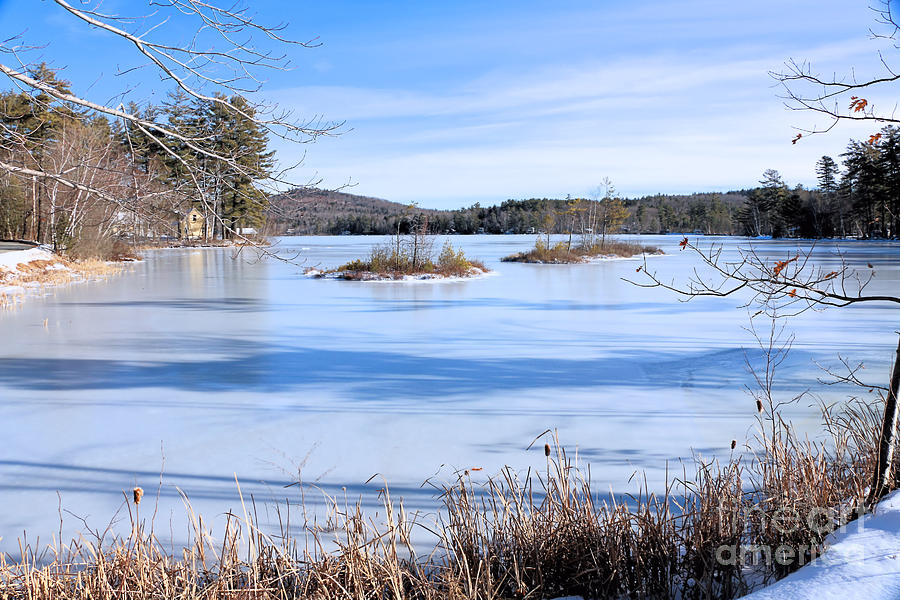 Frozen Bryant Pond Photograph by Elizabeth Dow